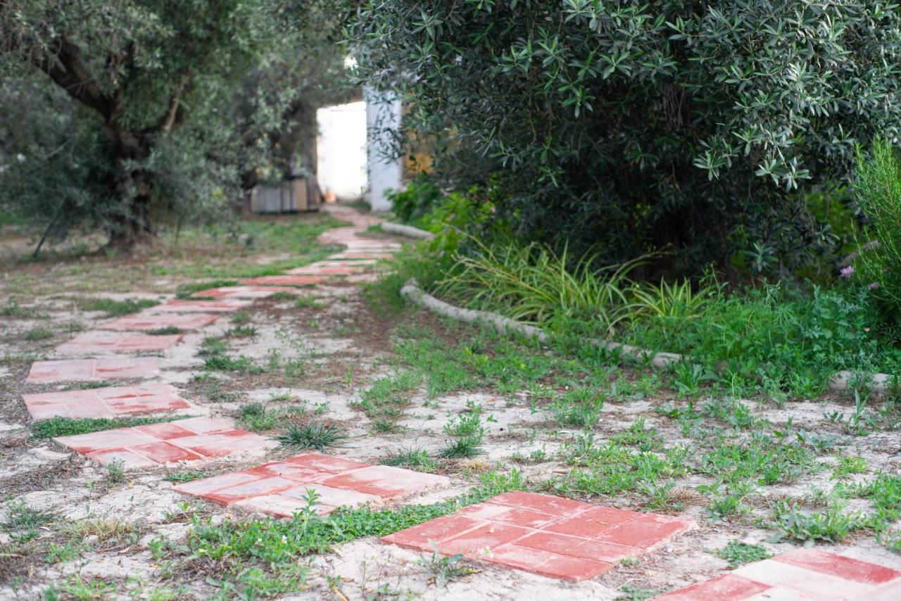 Casa De Campo Mediterranea En Alicante Agost Extérieur photo