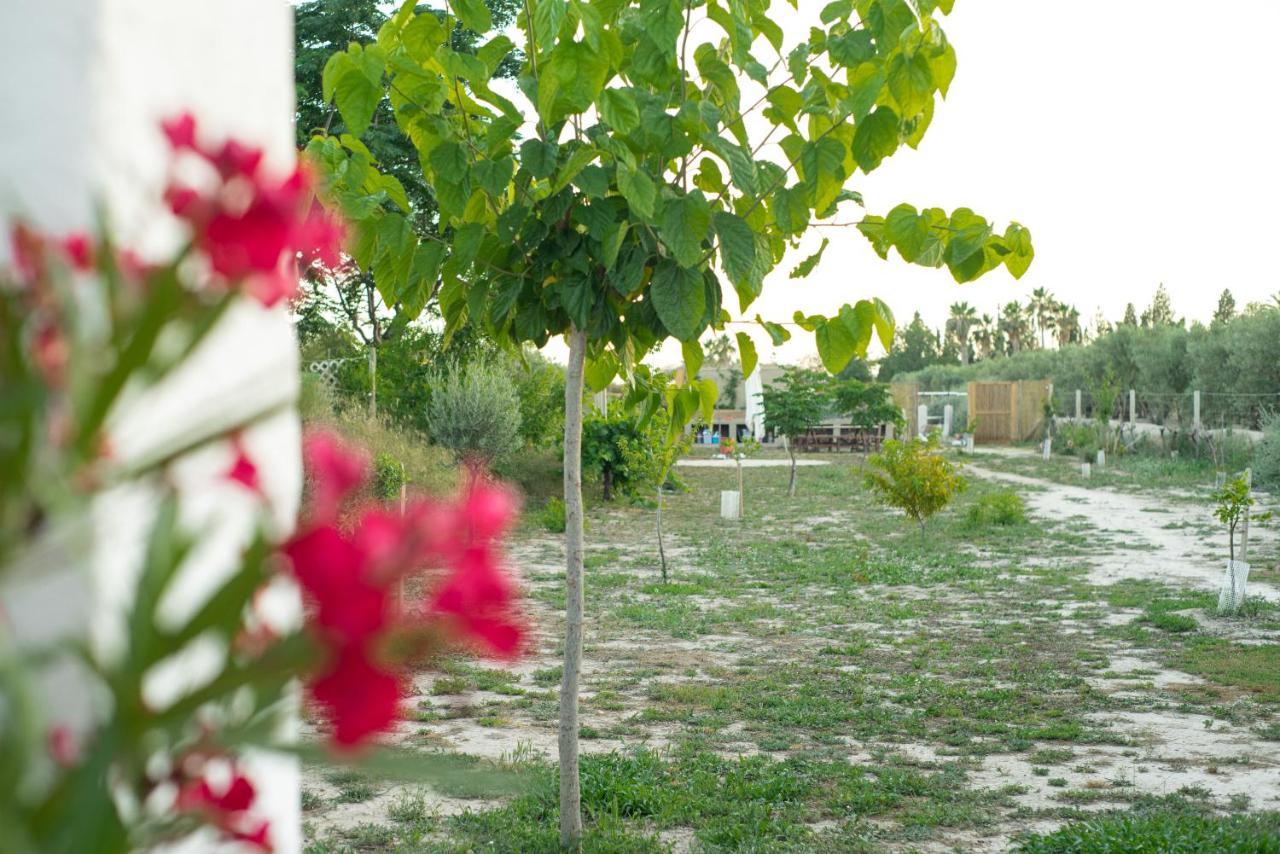 Casa De Campo Mediterranea En Alicante Agost Extérieur photo
